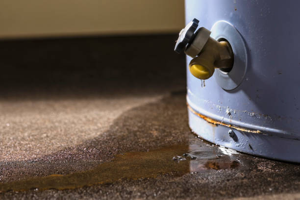 Linden, AZ Water damage restoration Company