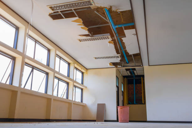 Professional Water damage restoration in Linden, AZ