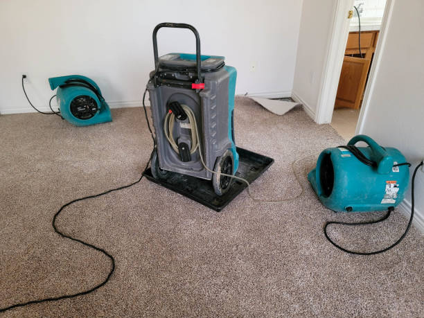  Linden, AZ Water damage restoration Pros
