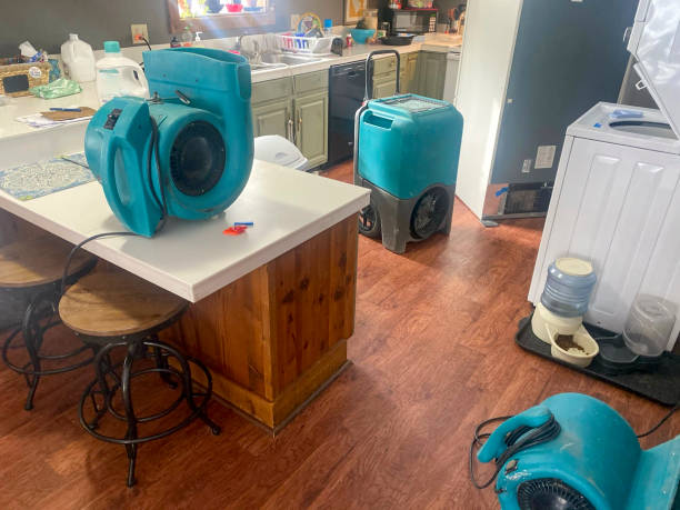 Best Carpet water damage restoration  in Linden, AZ
