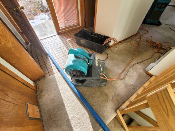 Best Ceiling water damage repair  in Linden, AZ