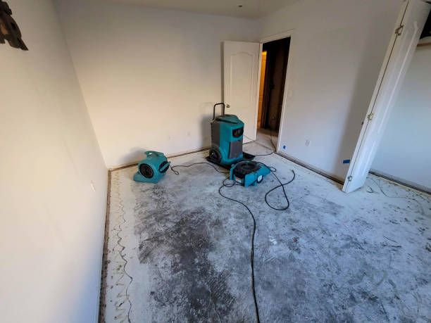 Best Commercial water damage restoration  in Linden, AZ