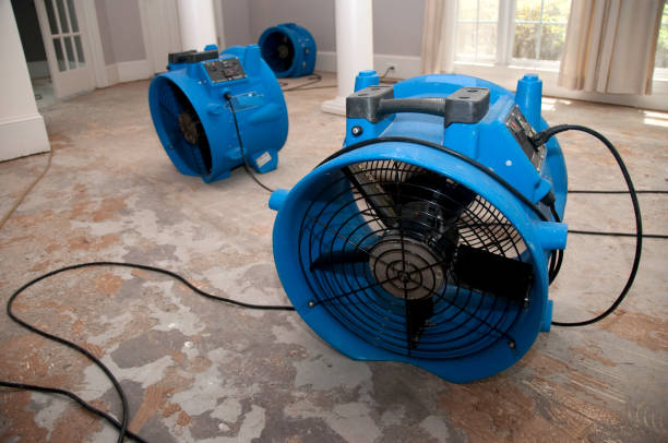 Best Flood restoration services  in Linden, AZ
