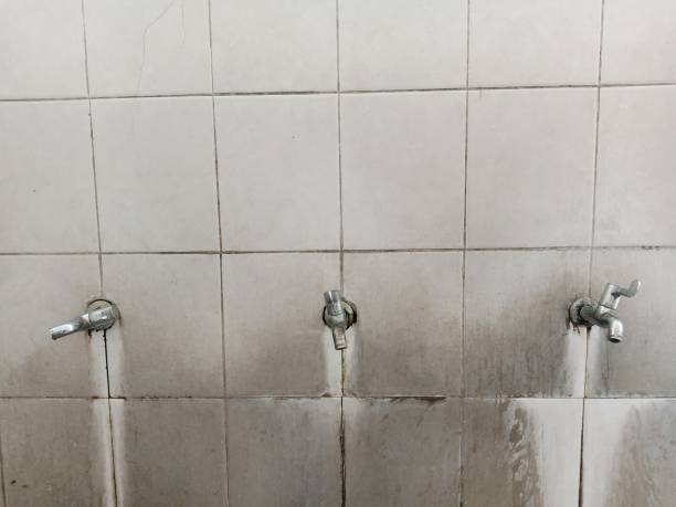 Best Fire Damage Restoration  in Linden, AZ