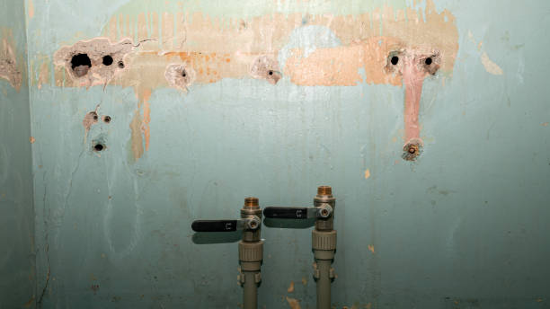 Best Flooded house restoration  in Linden, AZ