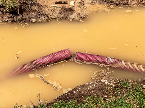 Water damage restoration insurance claims in Linden, AZ