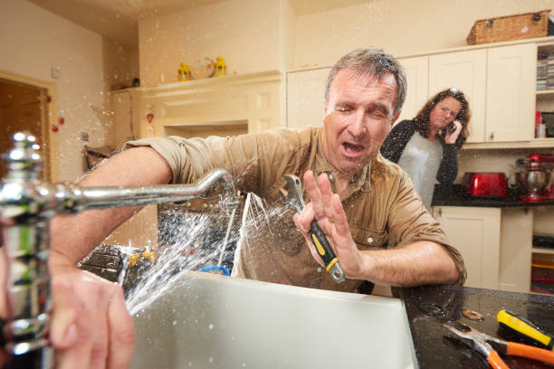 Best Professional water damage repair  in Linden, AZ